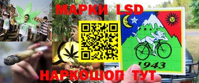 сатива Жуковский