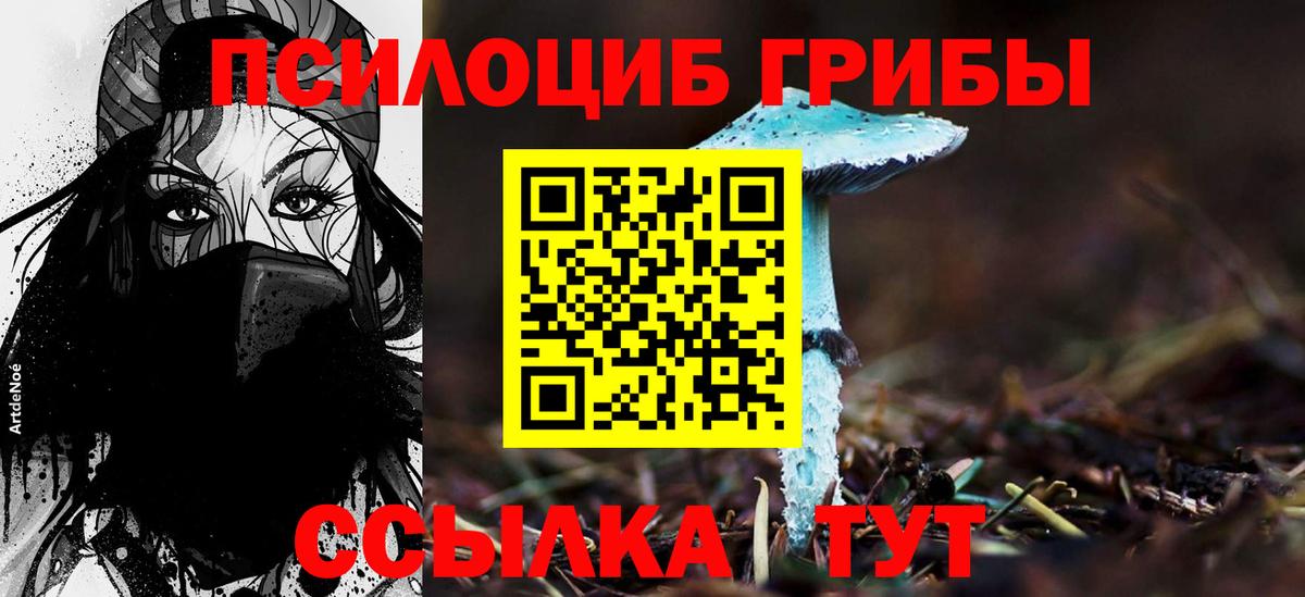 Галлюциногенные грибы Magic Shrooms  Вход с VPN  Минусинск 