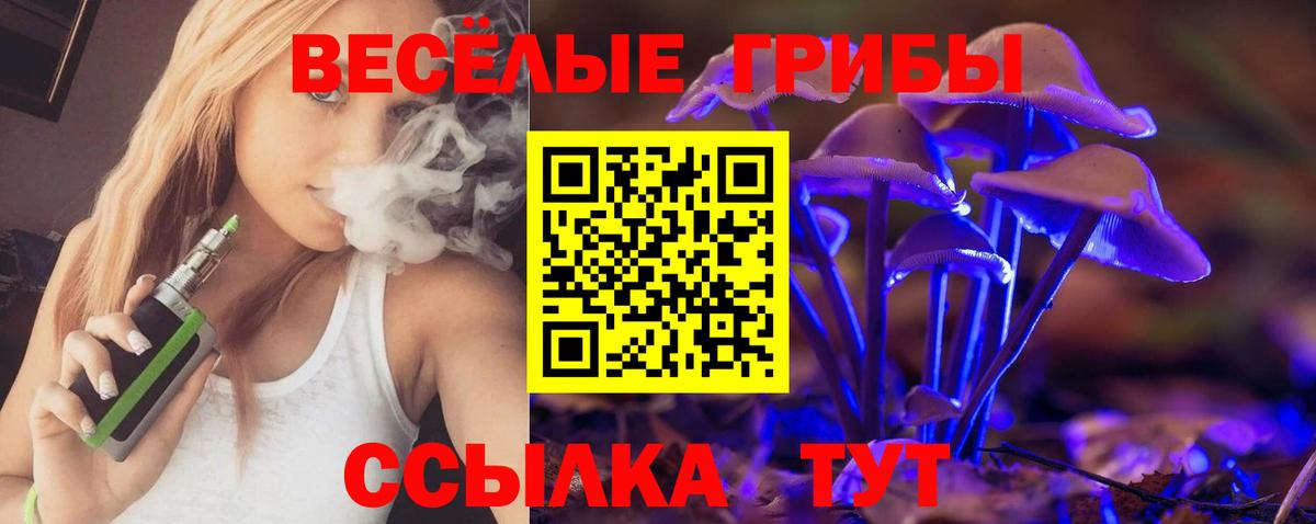 Галлюциногенные грибы GOLDEN TEACHER Минусинск